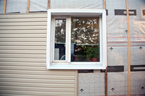 Best Custom Trim and Detailing for Siding  in Council Bluffs, IA